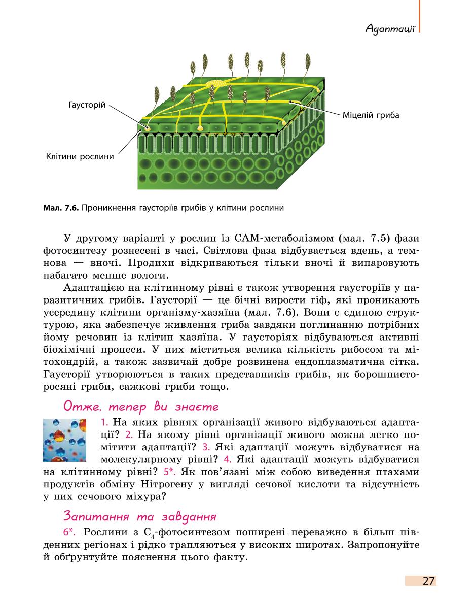 Мініатюра 27