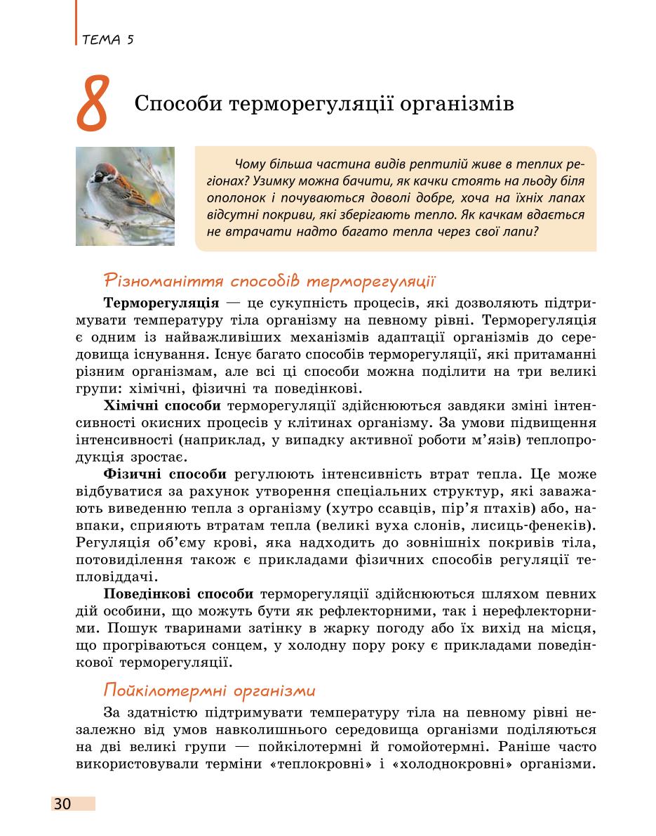 Мініатюра 30