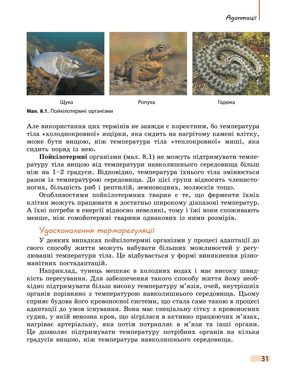 Мініатюра 31