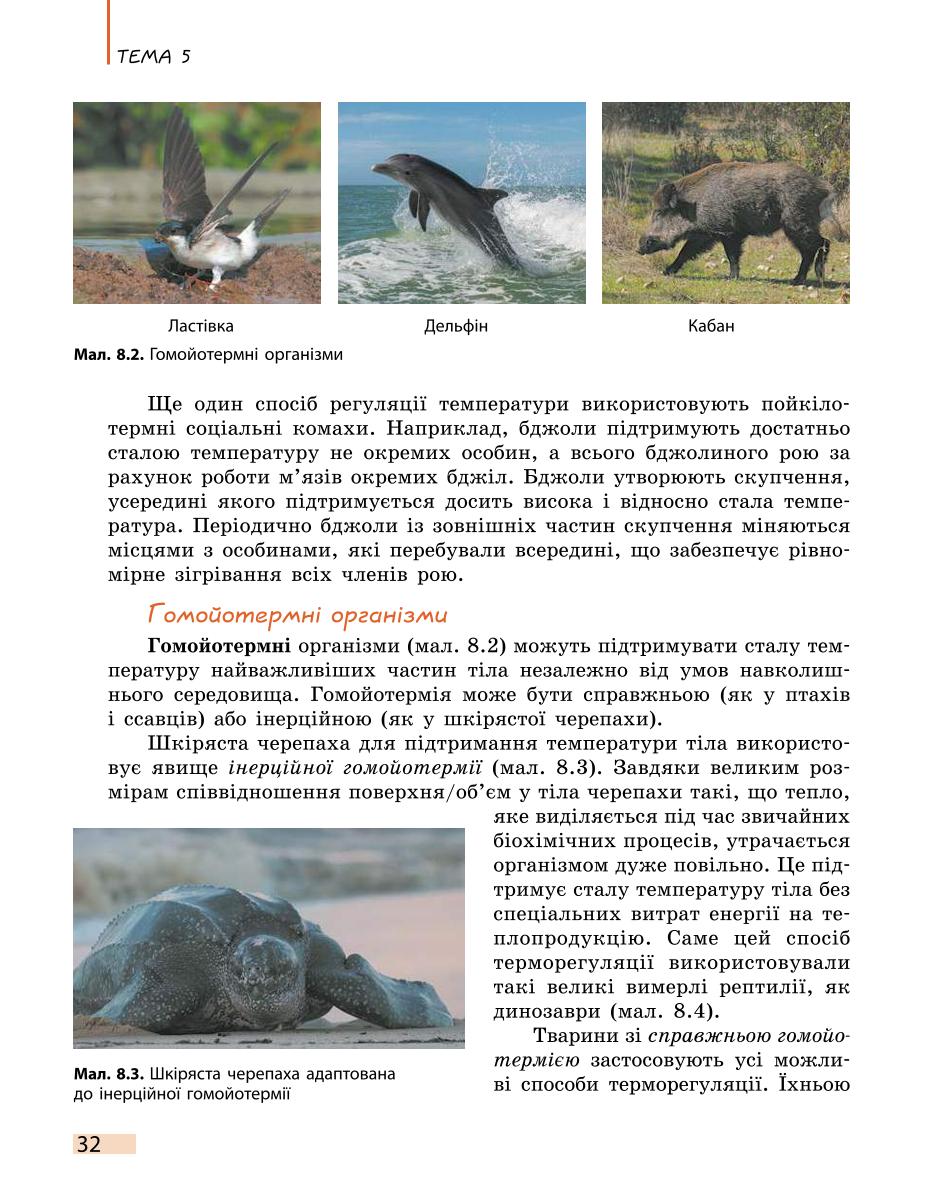 Мініатюра 32