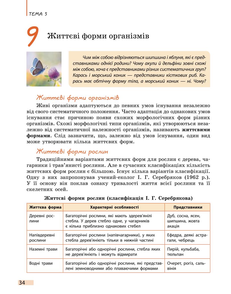 Мініатюра 34