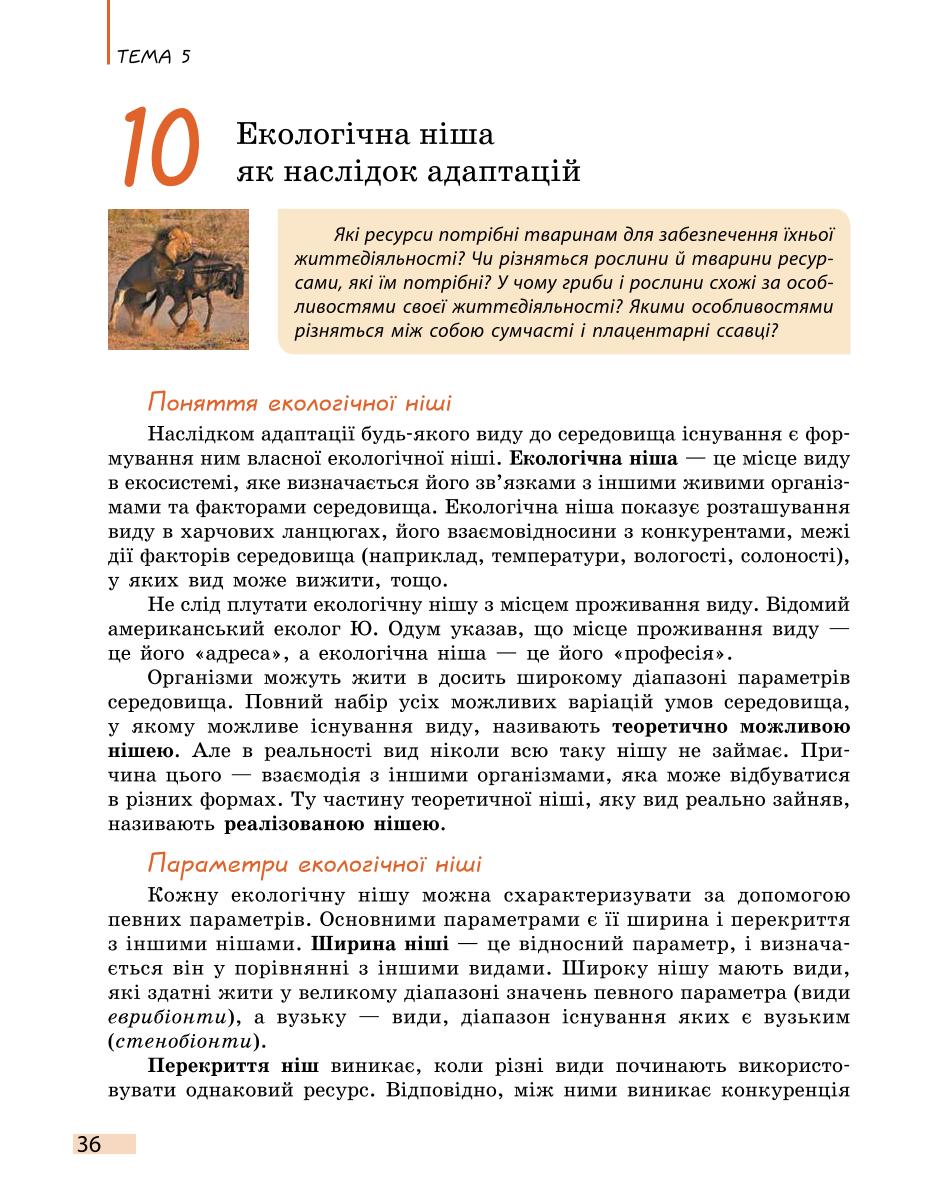 Мініатюра 36