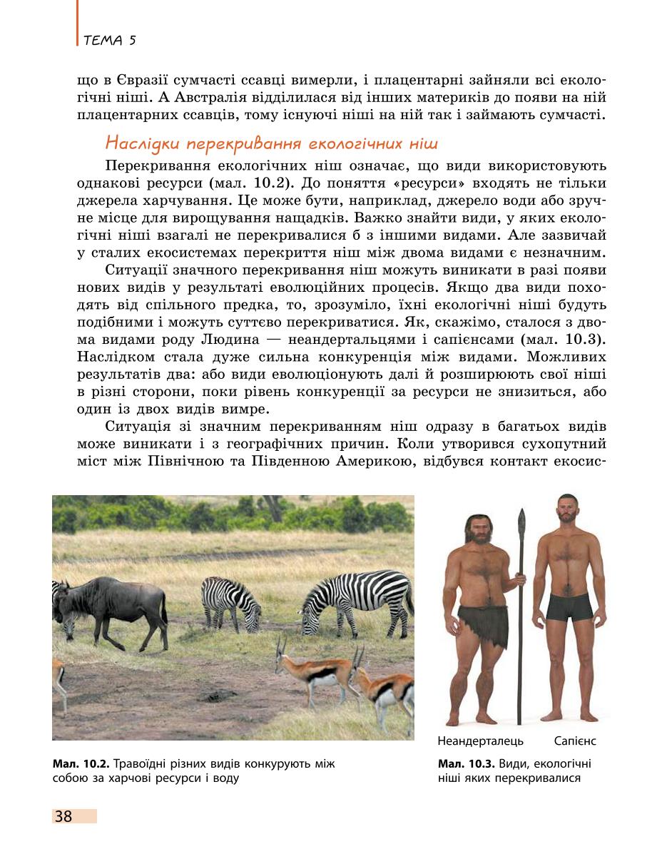 Мініатюра 38