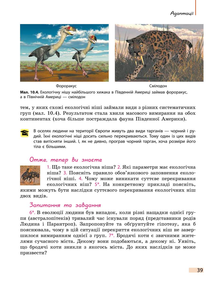 Мініатюра 39