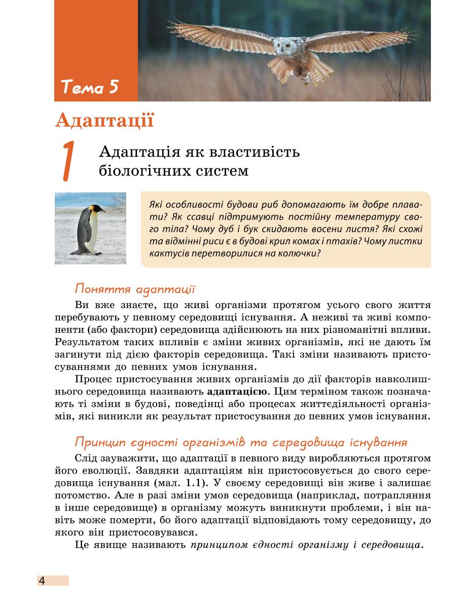 Мініатюра 4