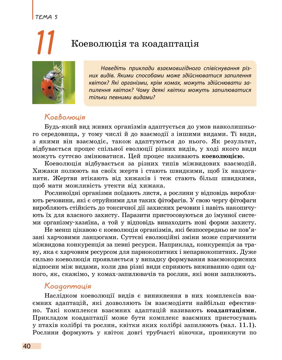 Мініатюра 40