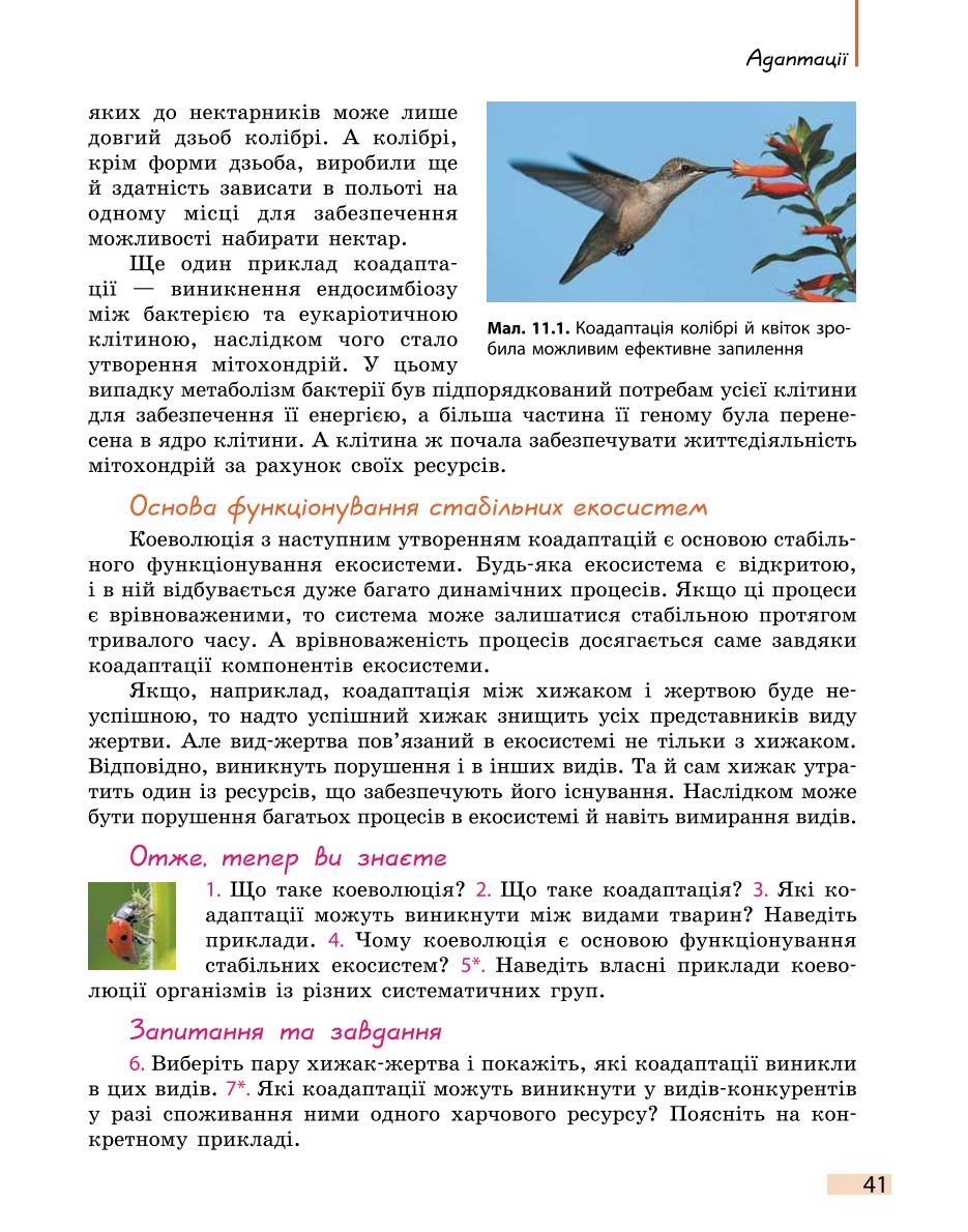 Мініатюра 41