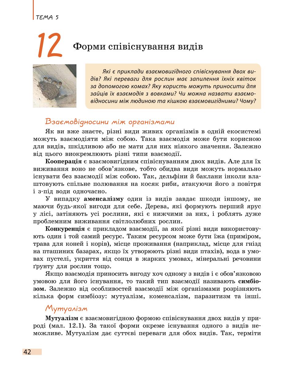 Мініатюра 42