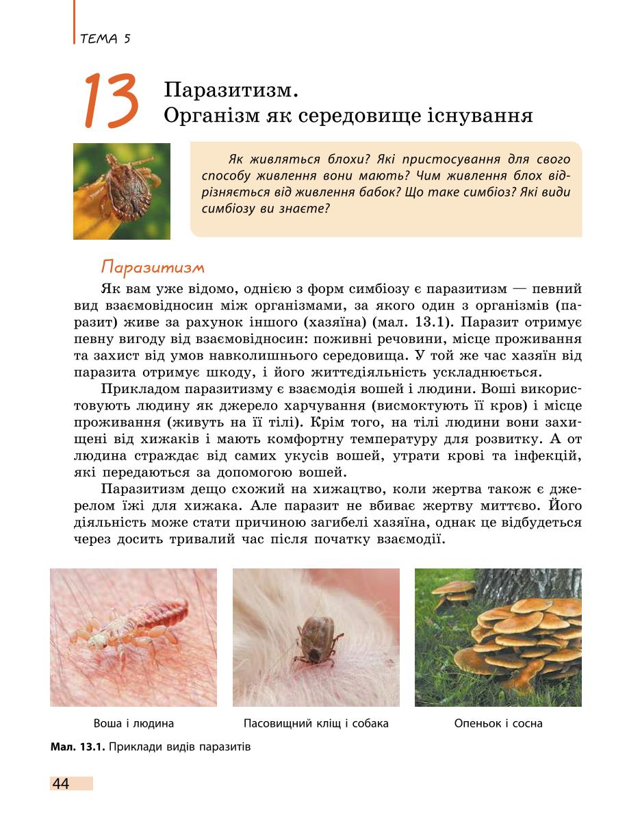 Мініатюра 44