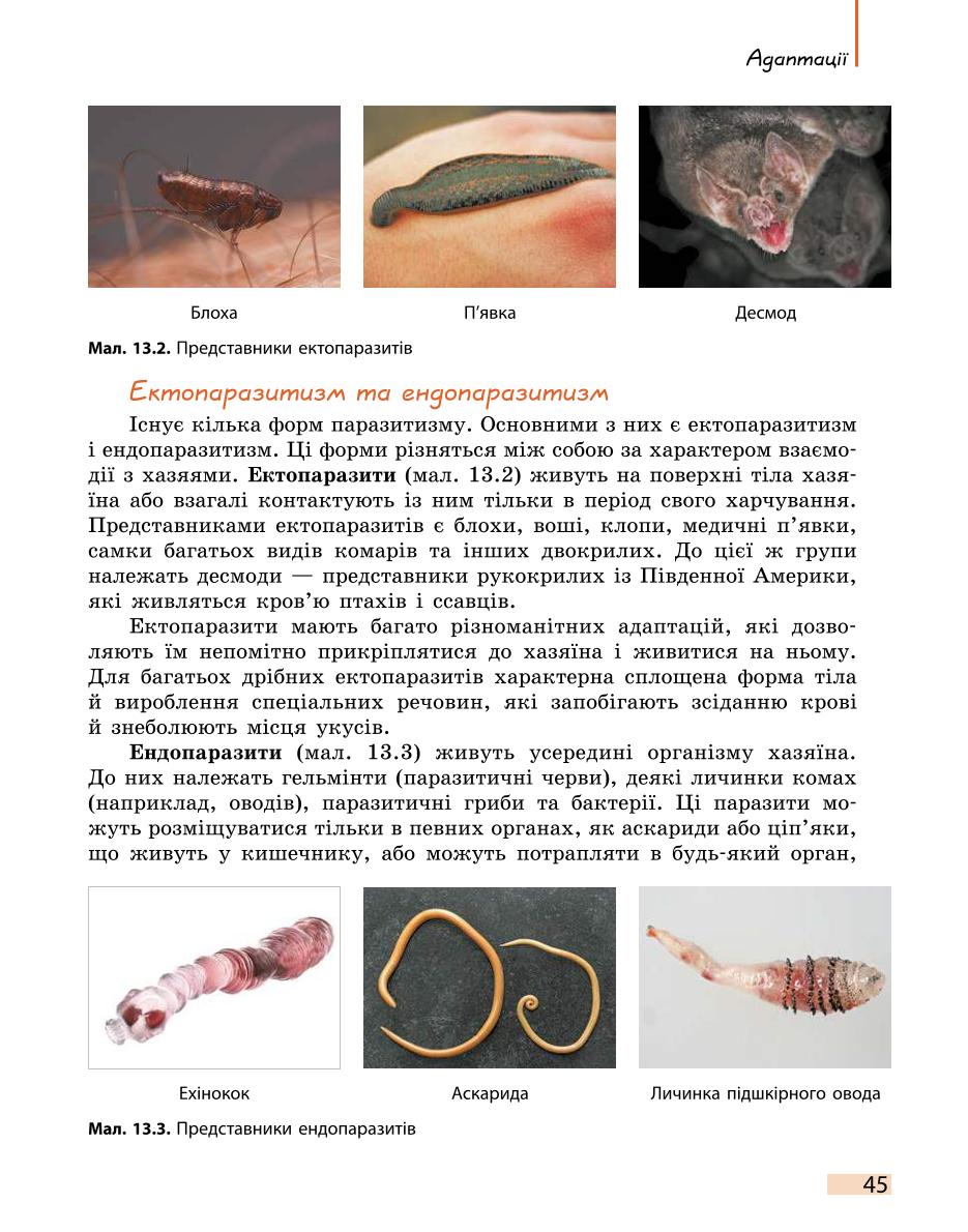 Мініатюра 45