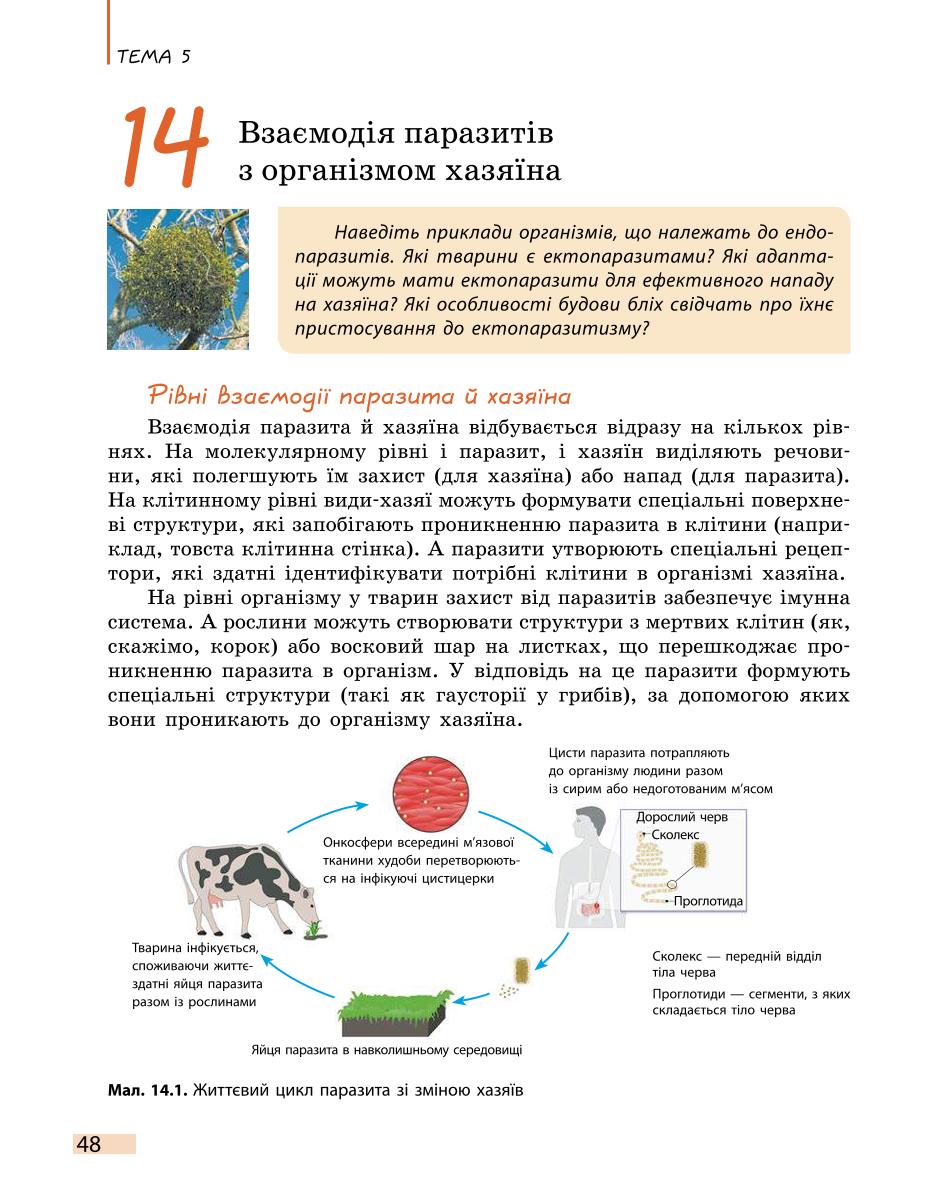 Мініатюра 48