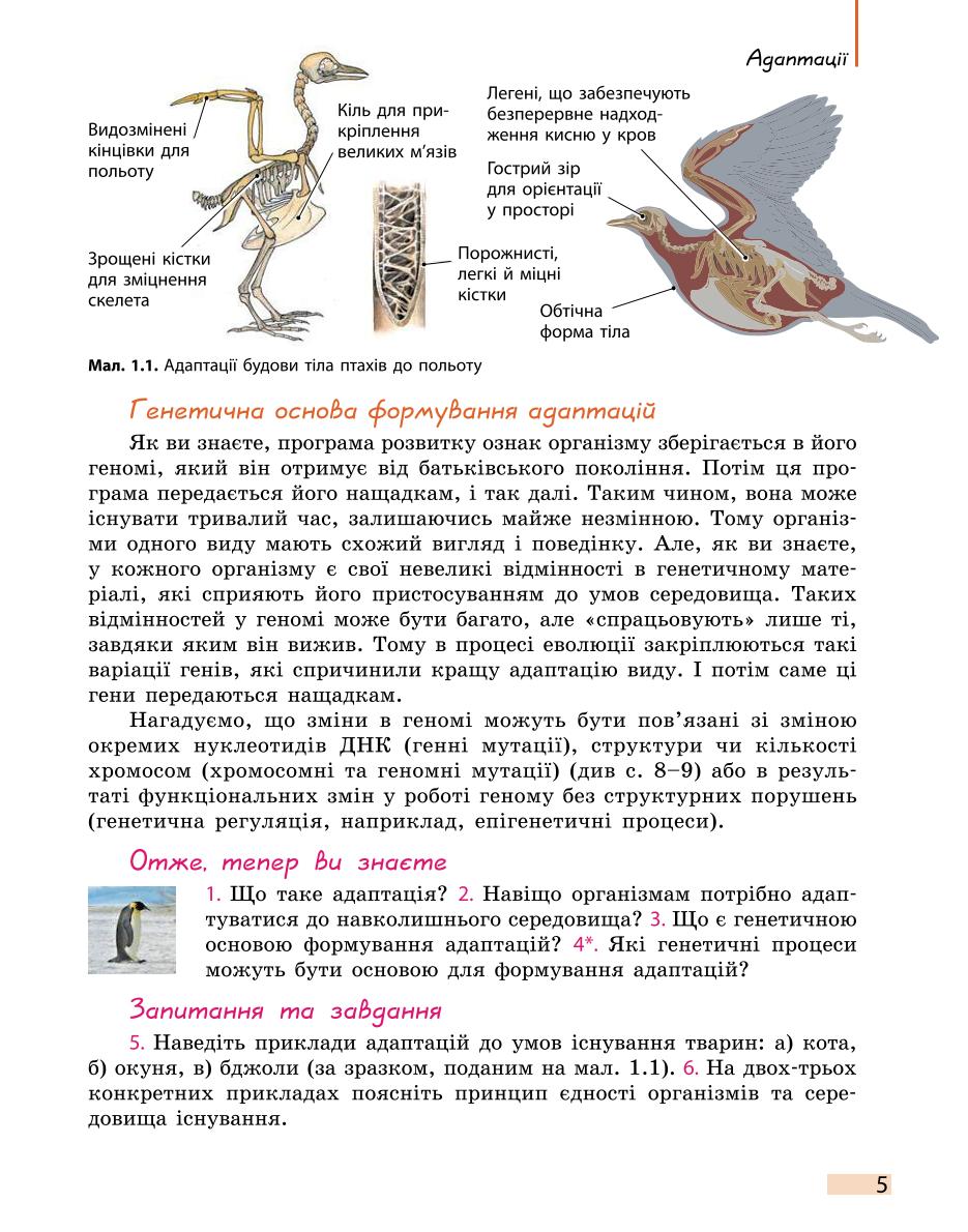 Мініатюра 5