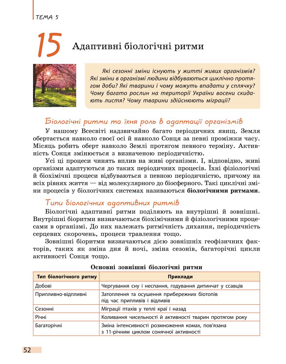 Мініатюра 52