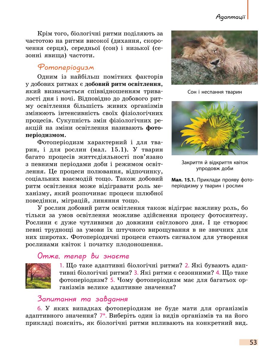 Мініатюра 53