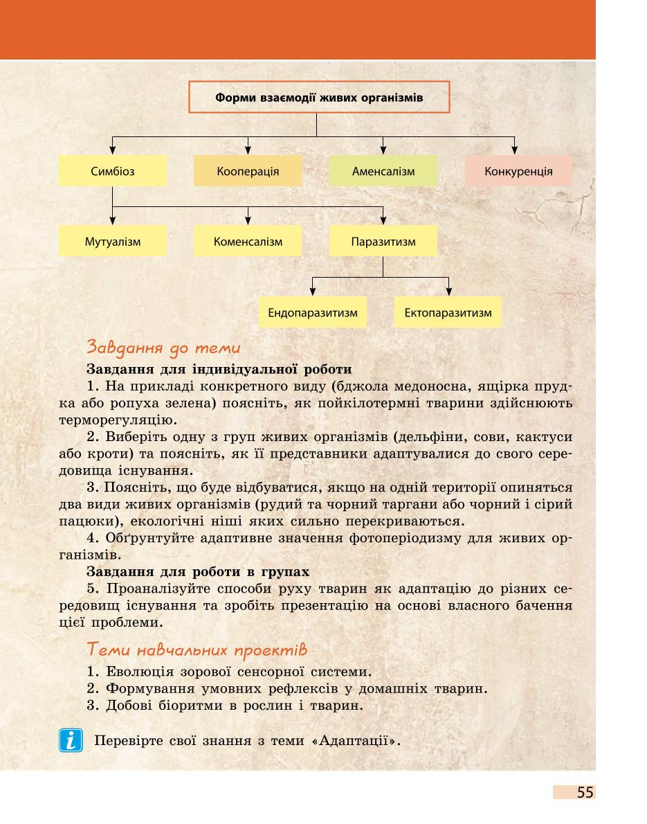 Мініатюра 55