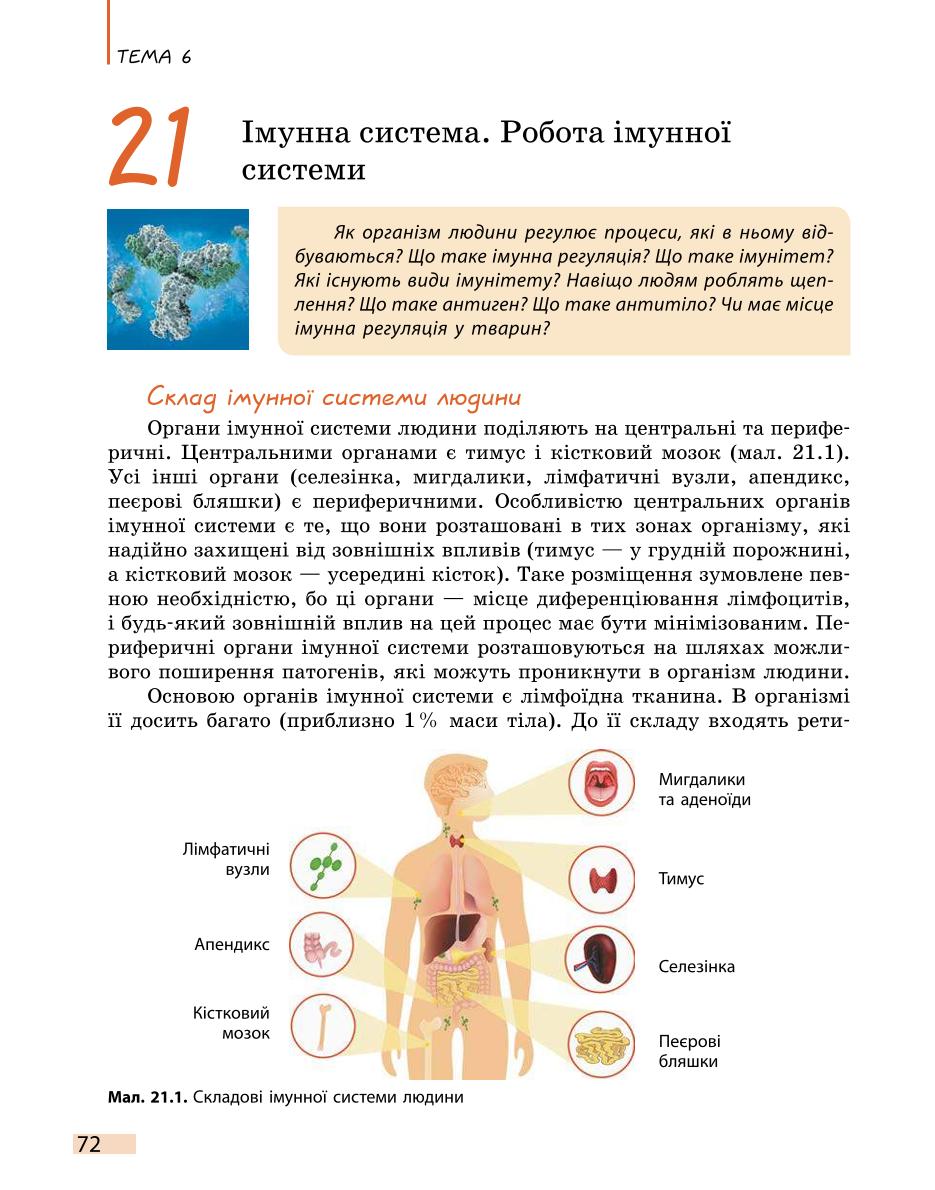 Мініатюра 72
