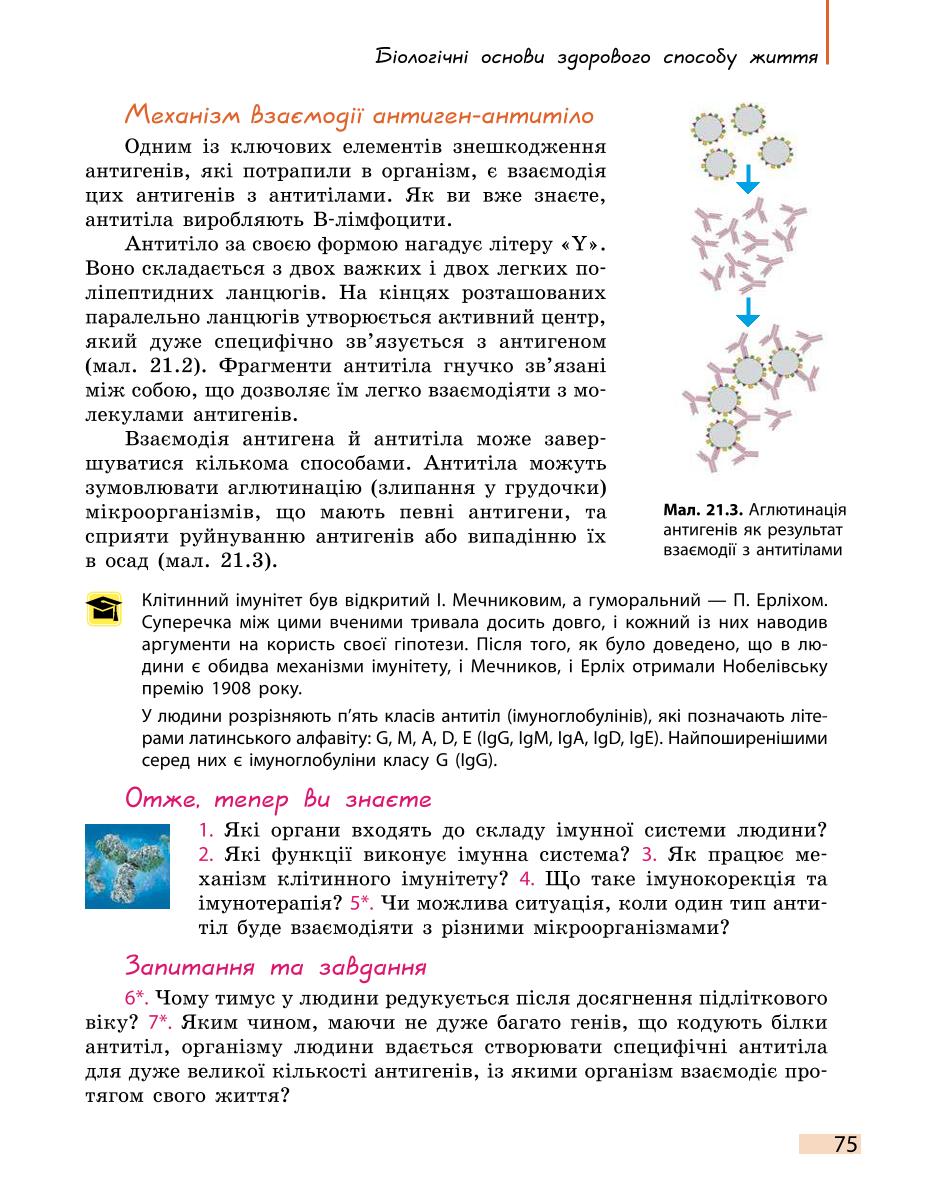 Мініатюра 75
