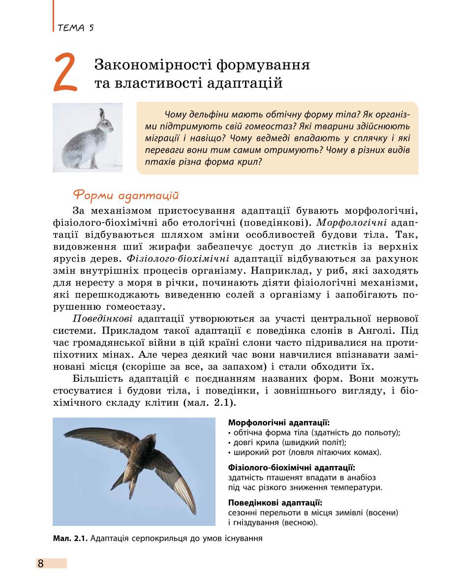 Мініатюра 8