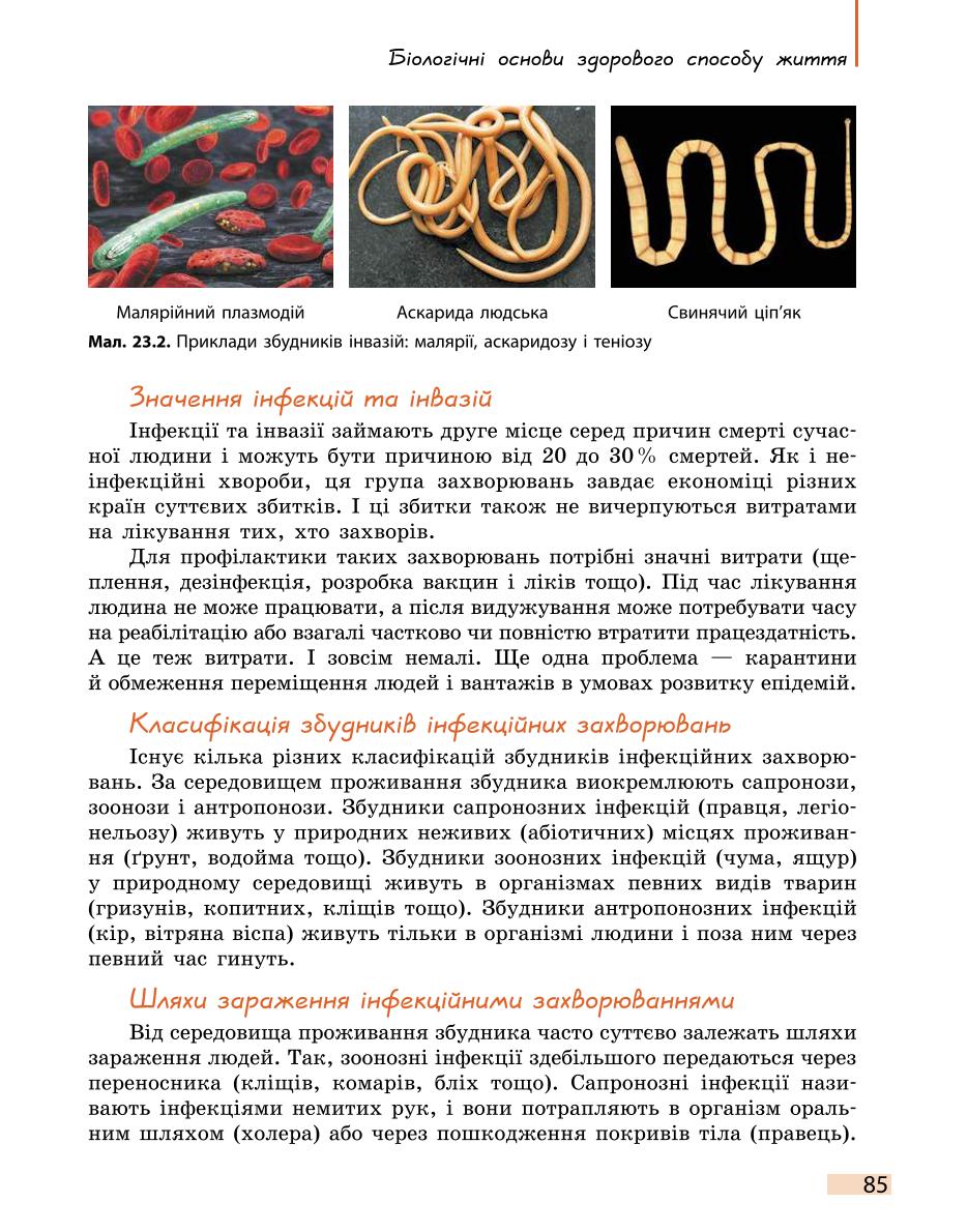 Мініатюра 85