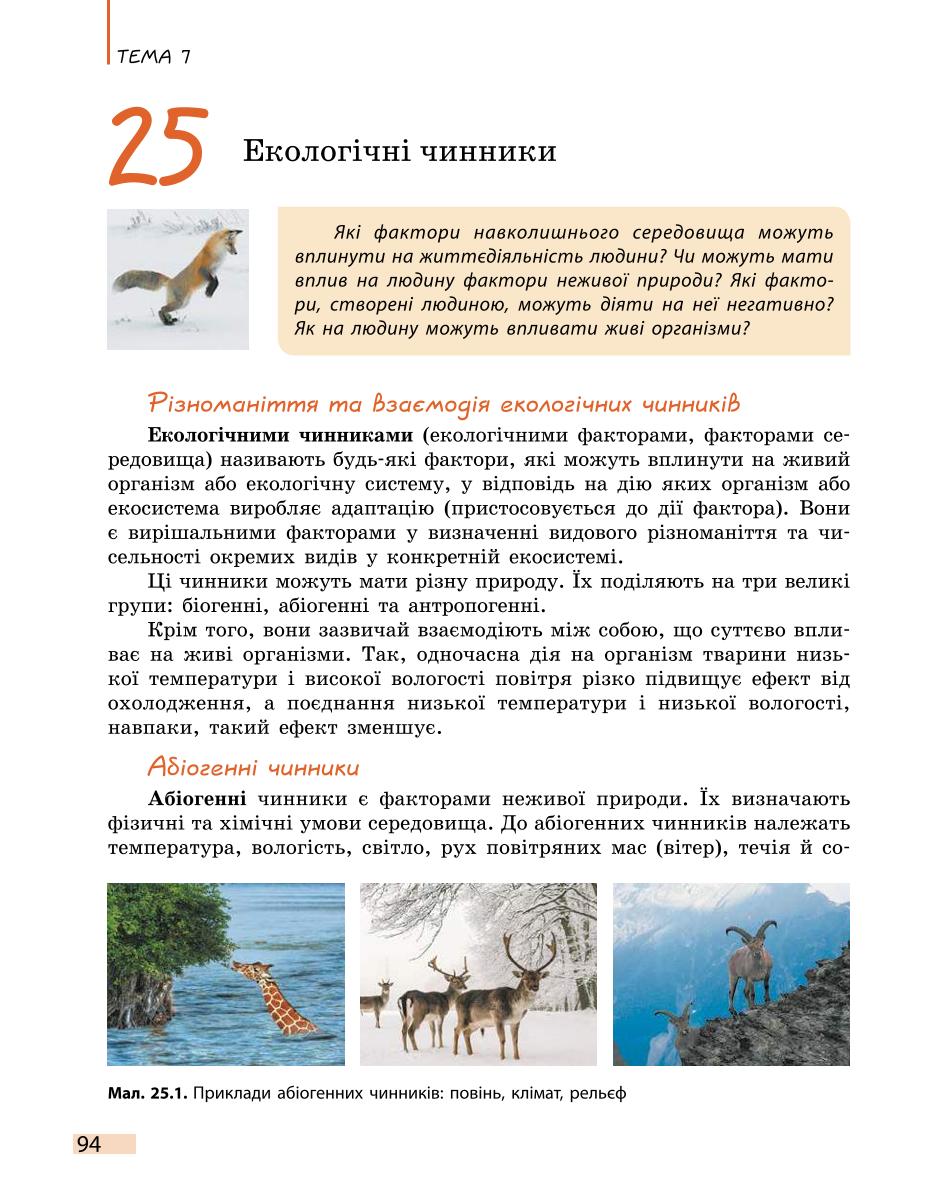 Мініатюра 94