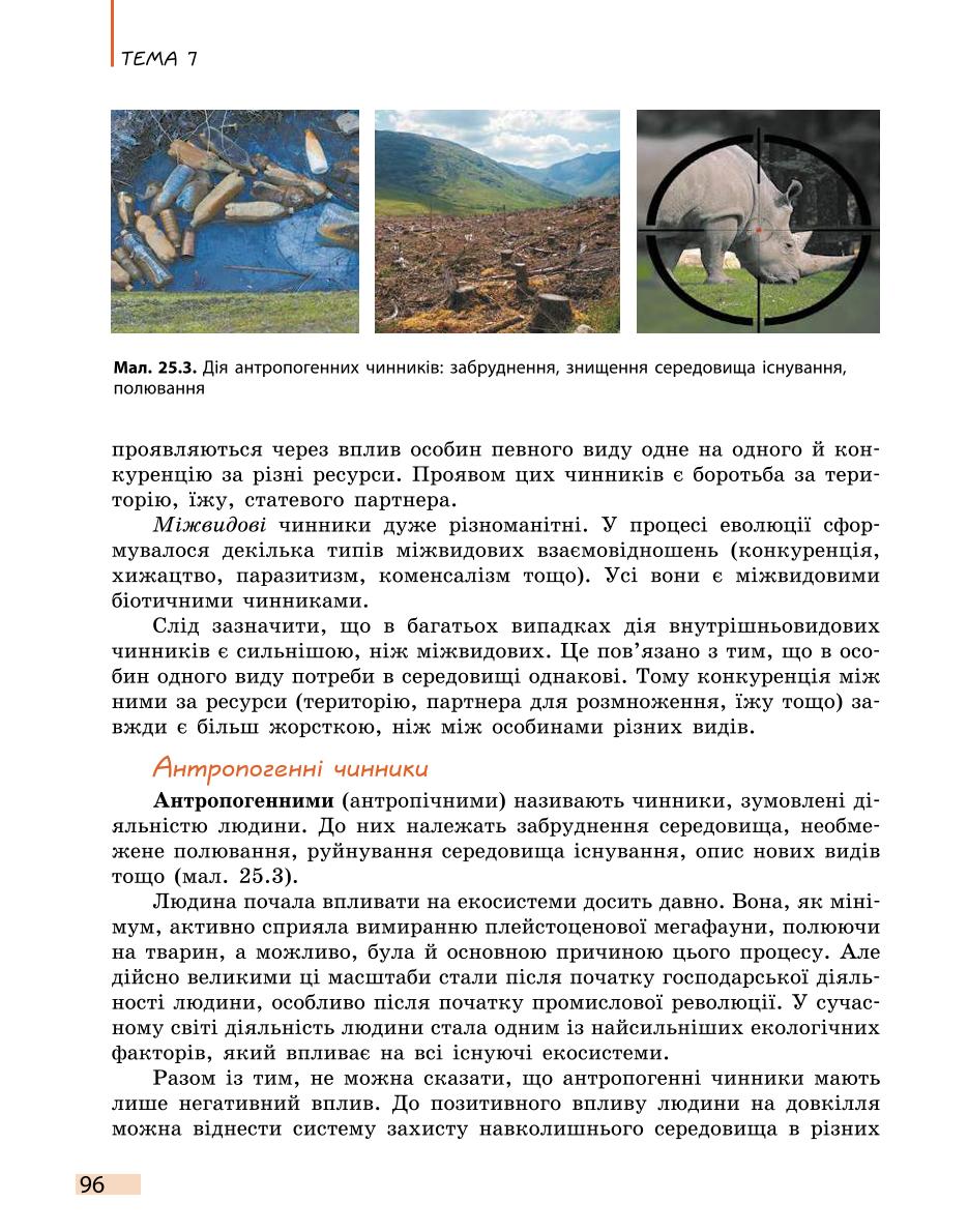 Мініатюра 96