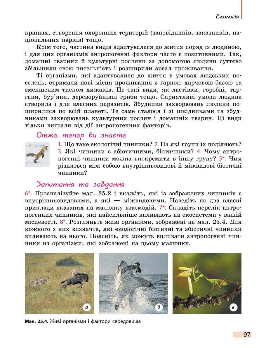 Мініатюра 97