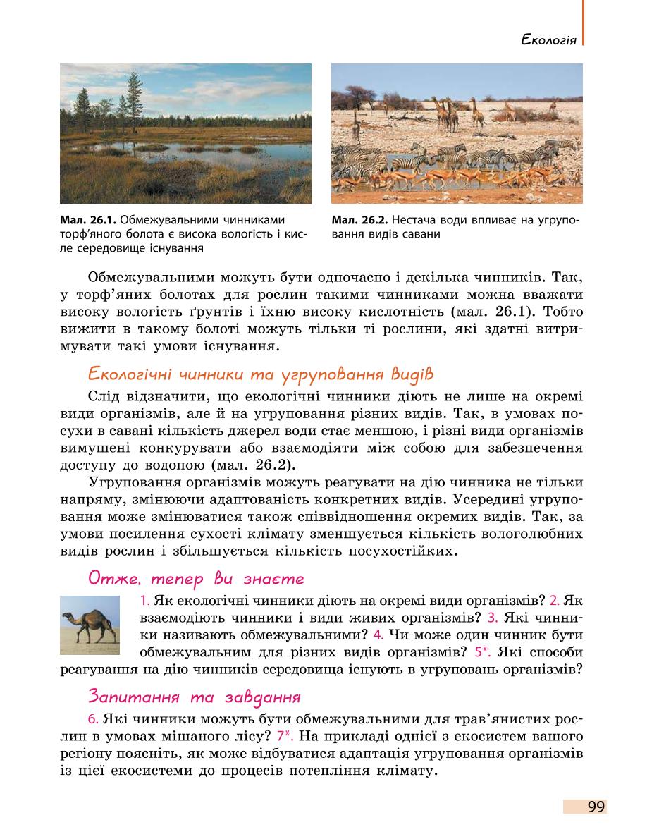 Мініатюра 99