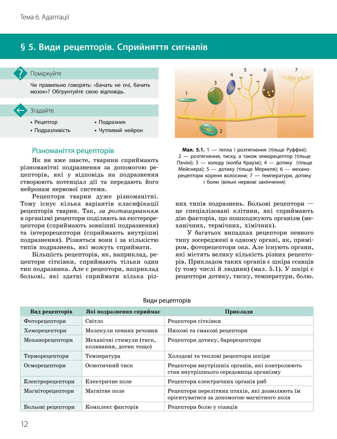 Мініатюра 12