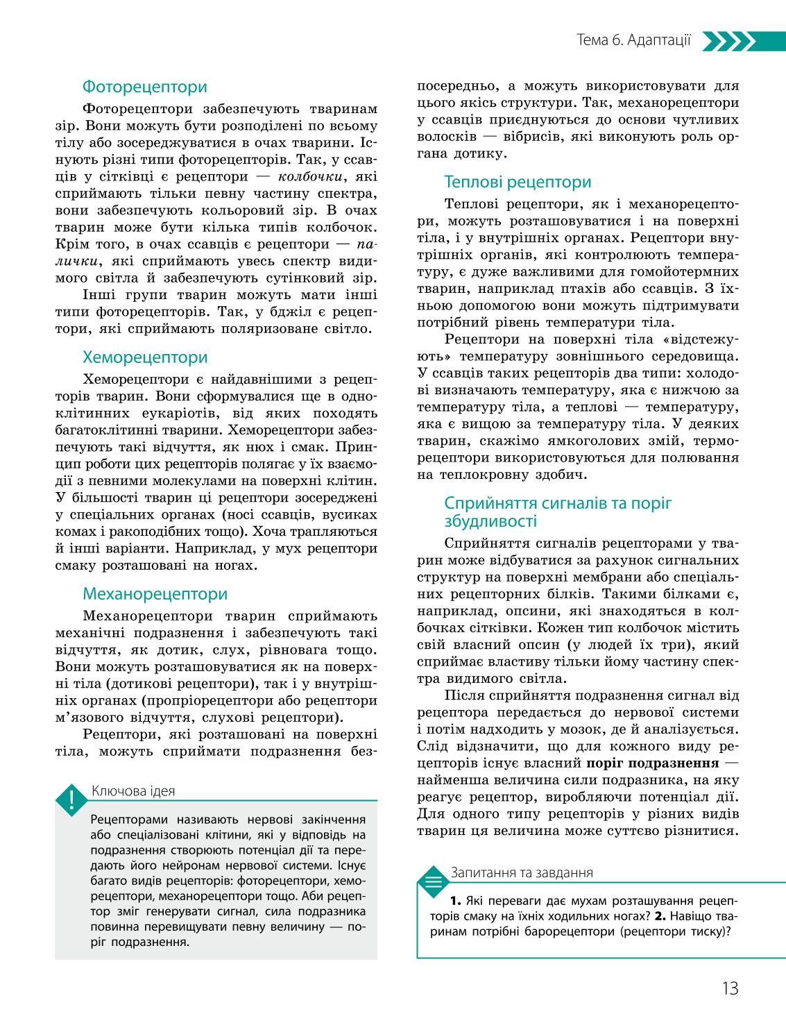 Мініатюра 13