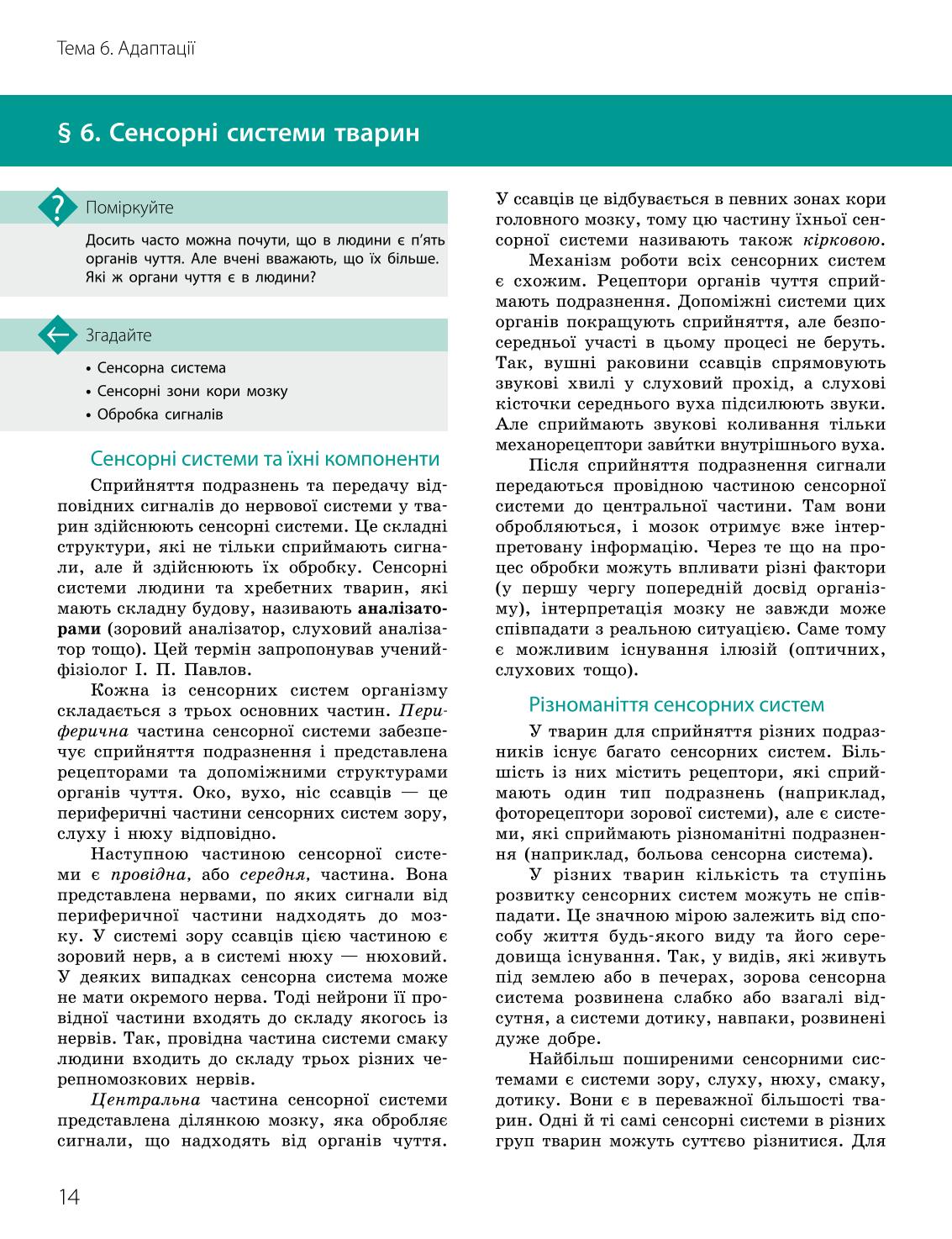 Мініатюра 14