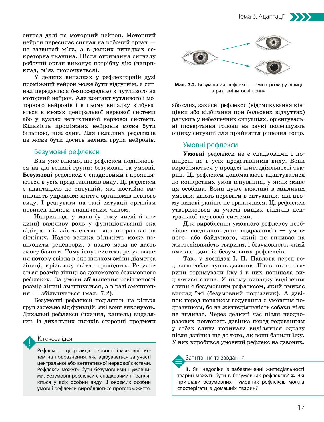 Мініатюра 17