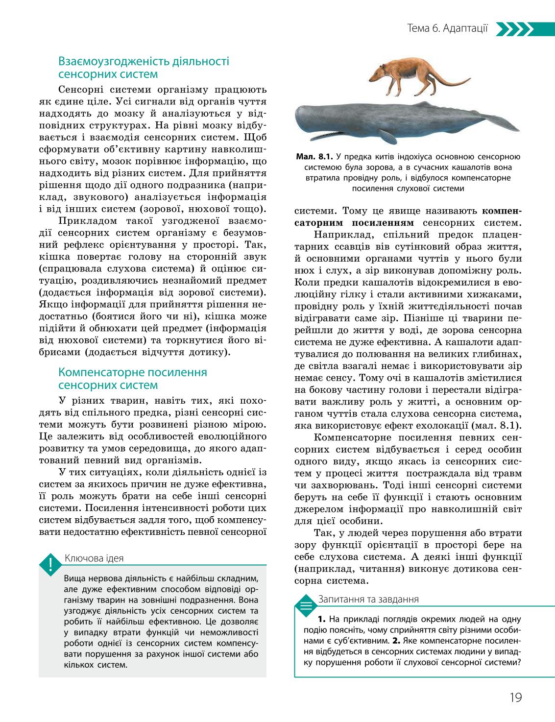 Мініатюра 19