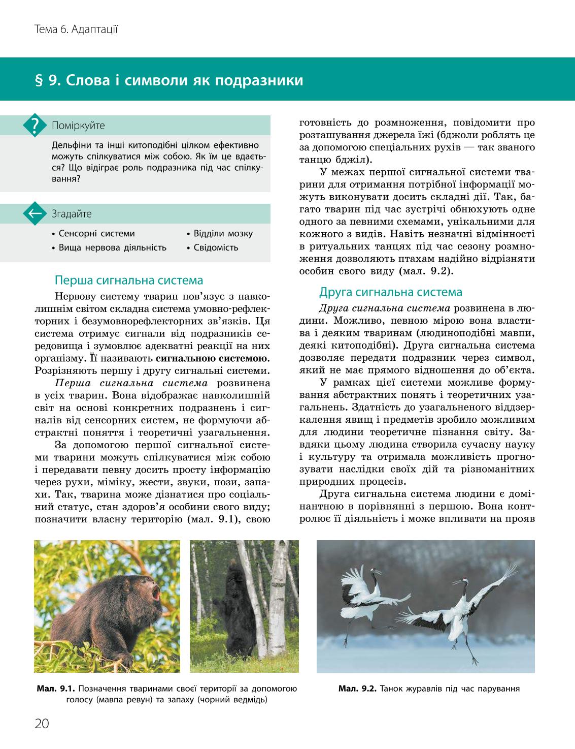 Мініатюра 20