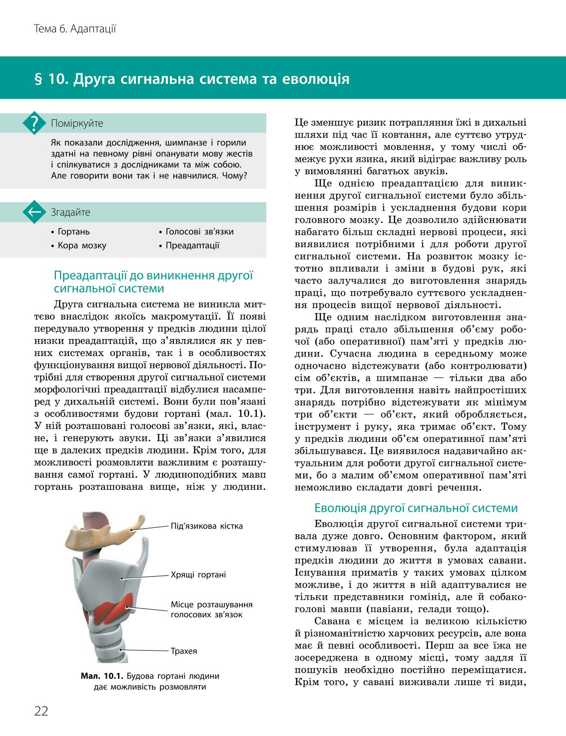 Мініатюра 22