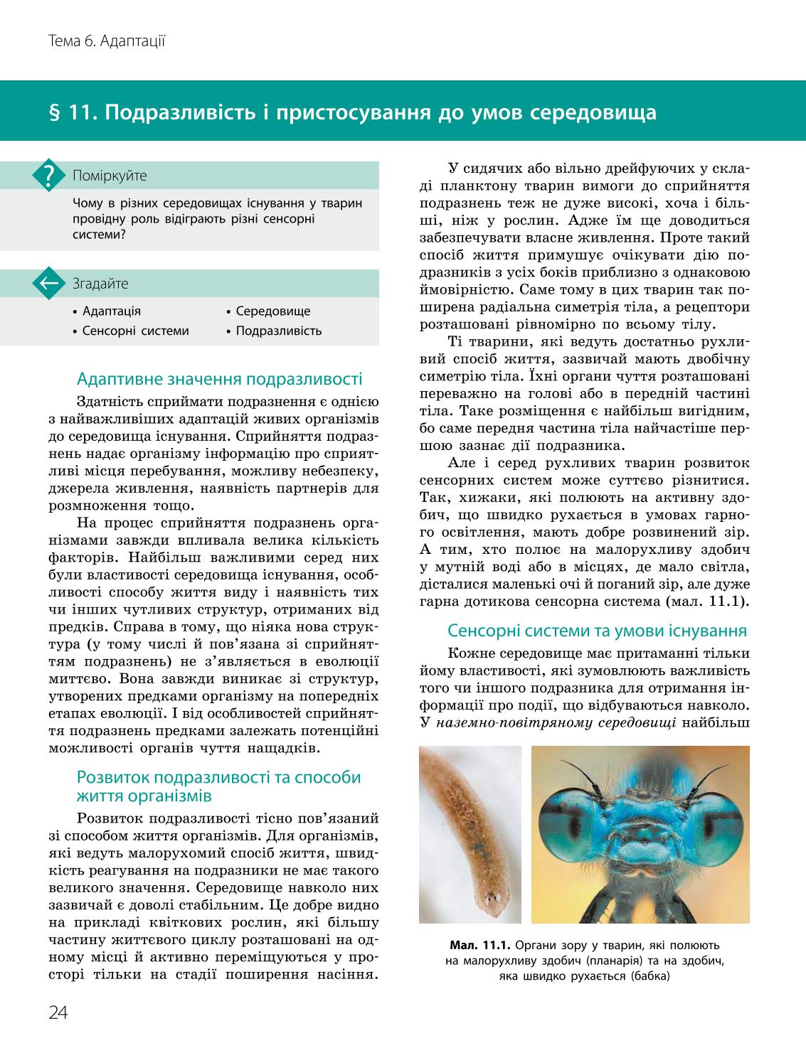 Мініатюра 24