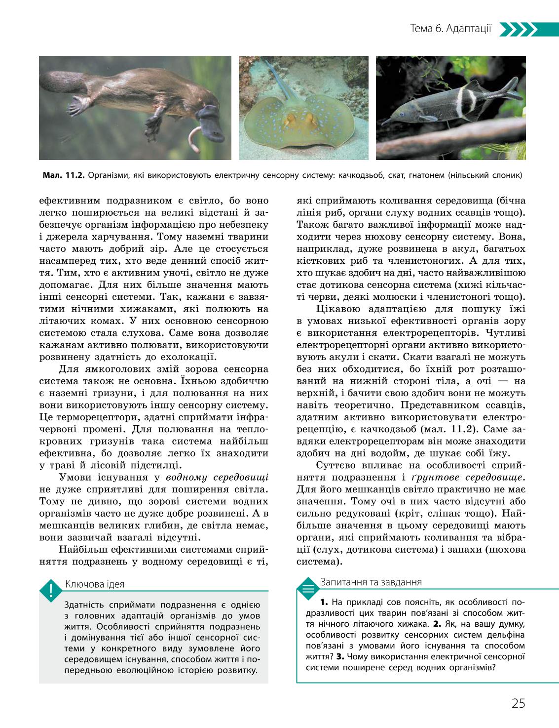 Мініатюра 25
