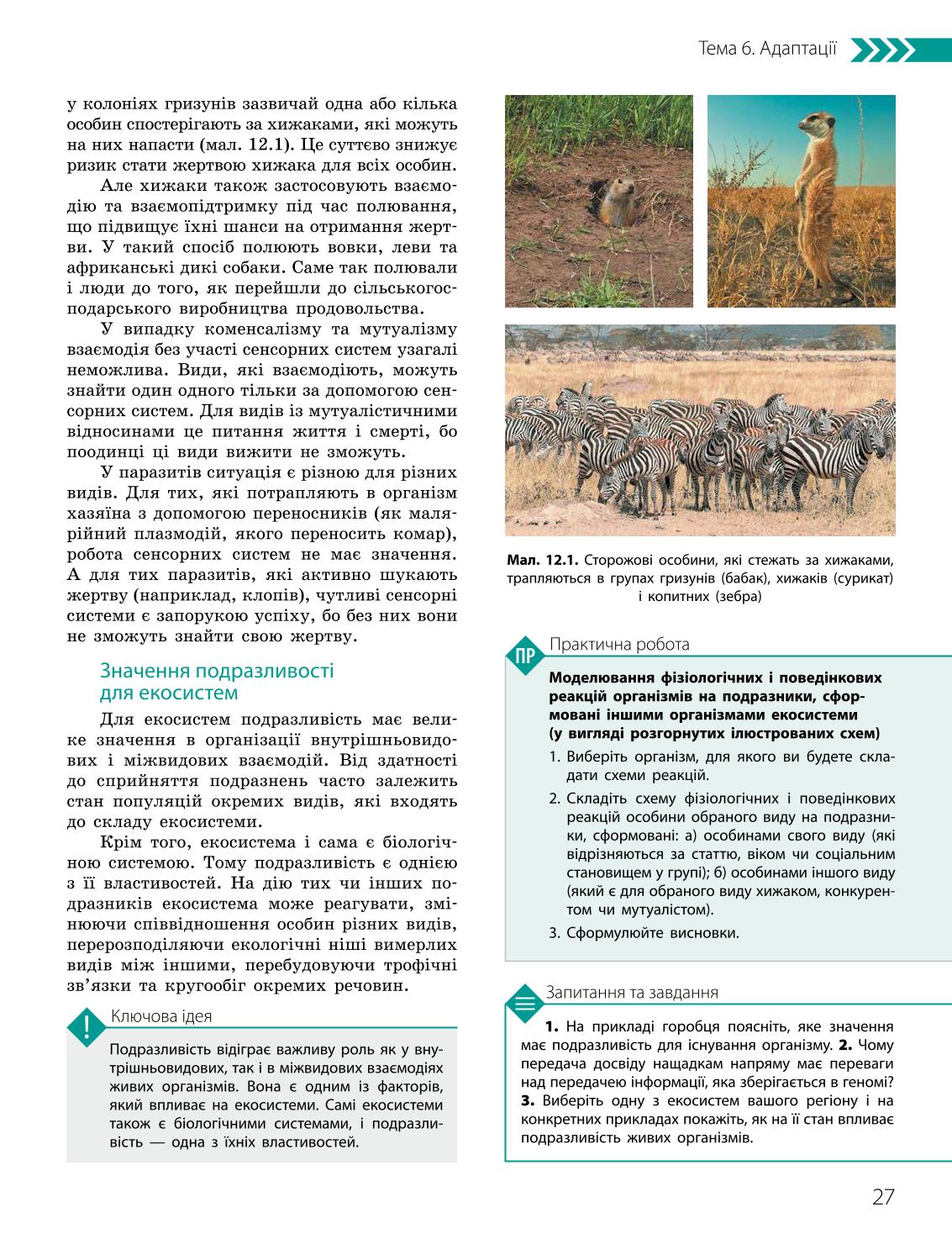 Мініатюра 27