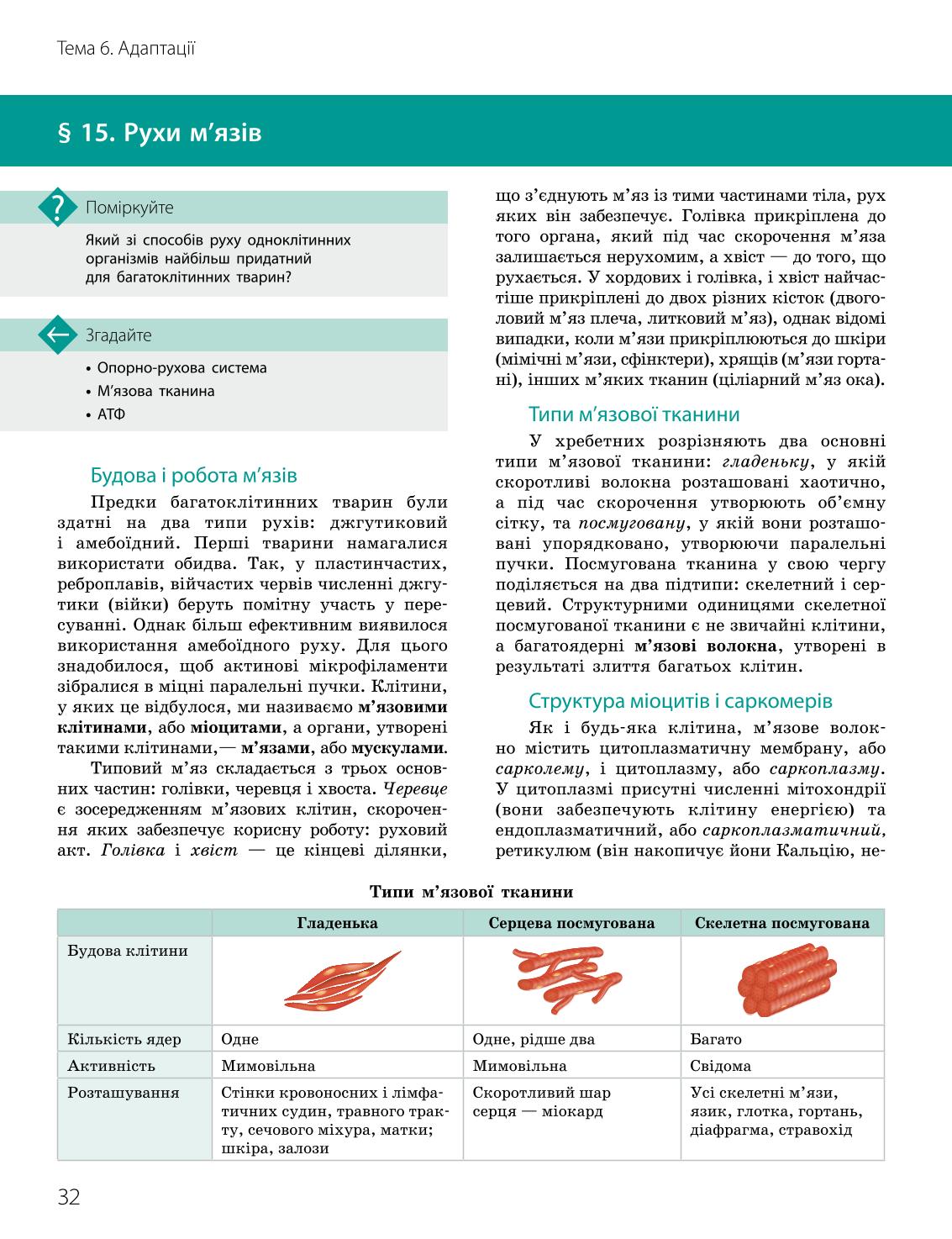 Мініатюра 32