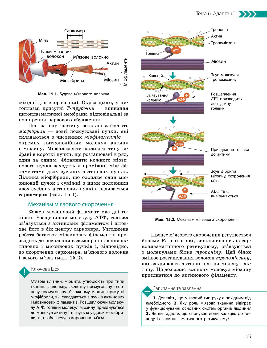 Мініатюра 33