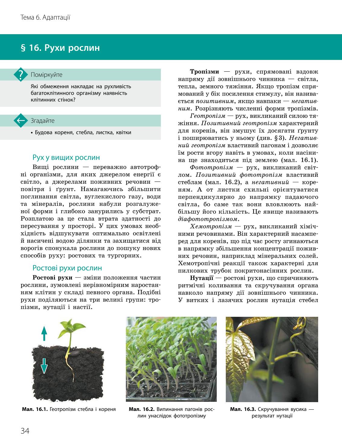 Мініатюра 34