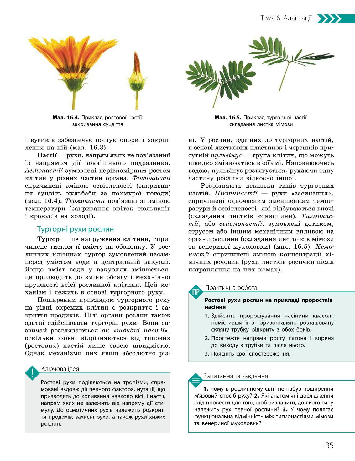Мініатюра 35