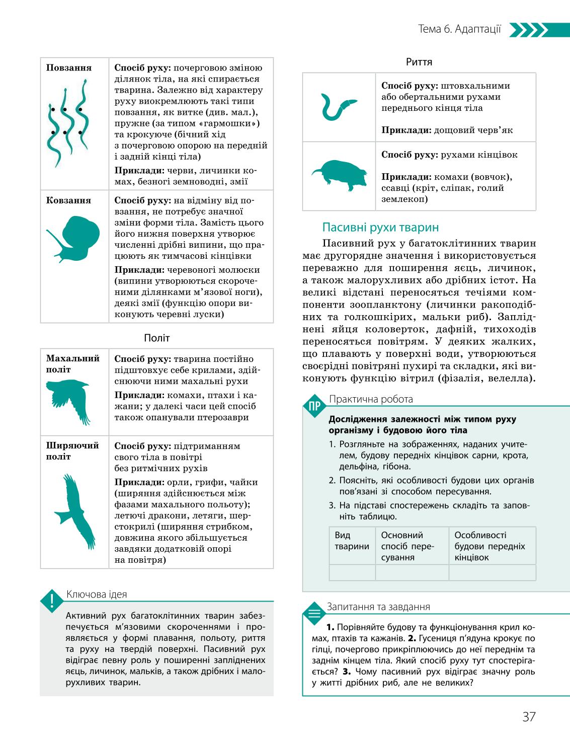 Мініатюра 37