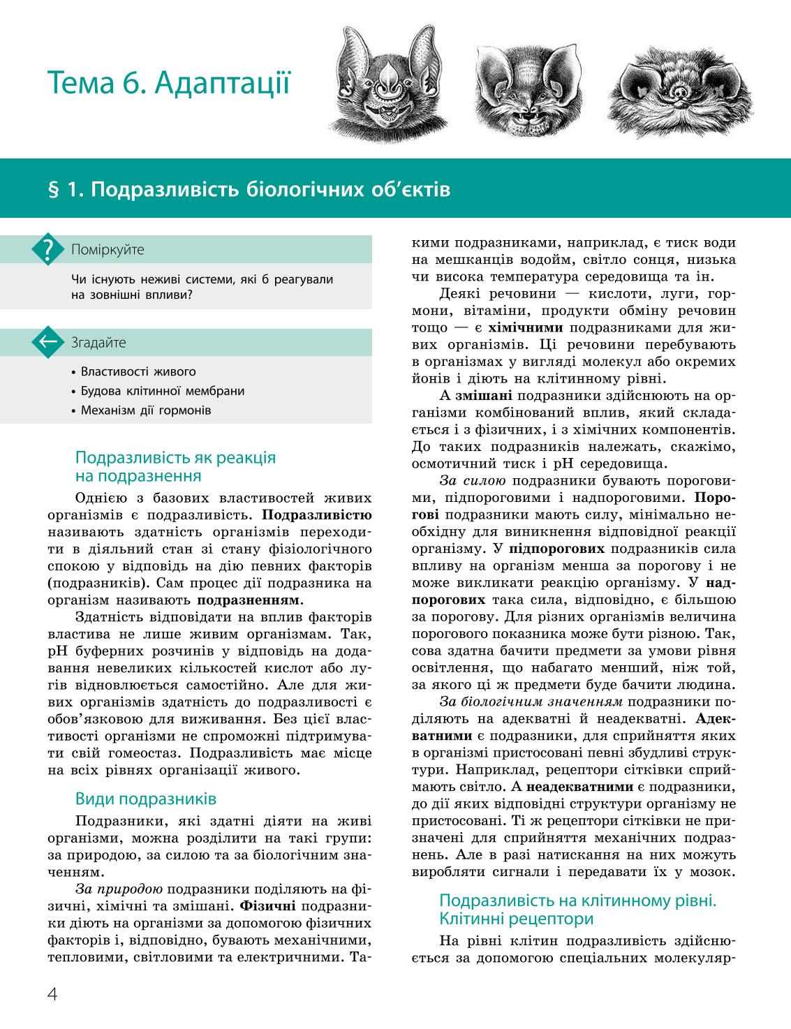 Мініатюра 4