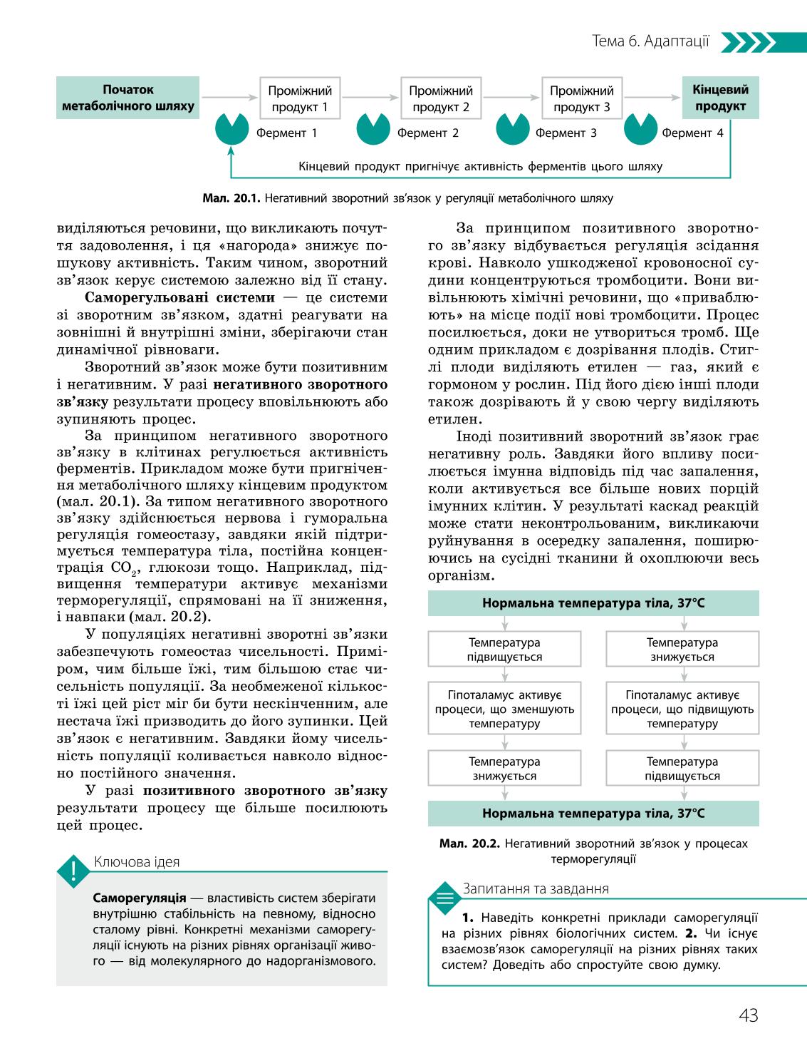 Мініатюра 43