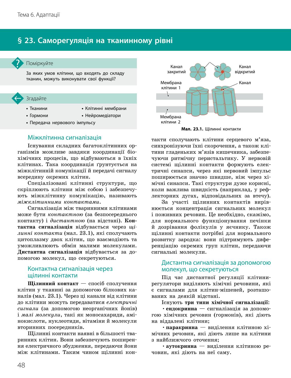 Мініатюра 48
