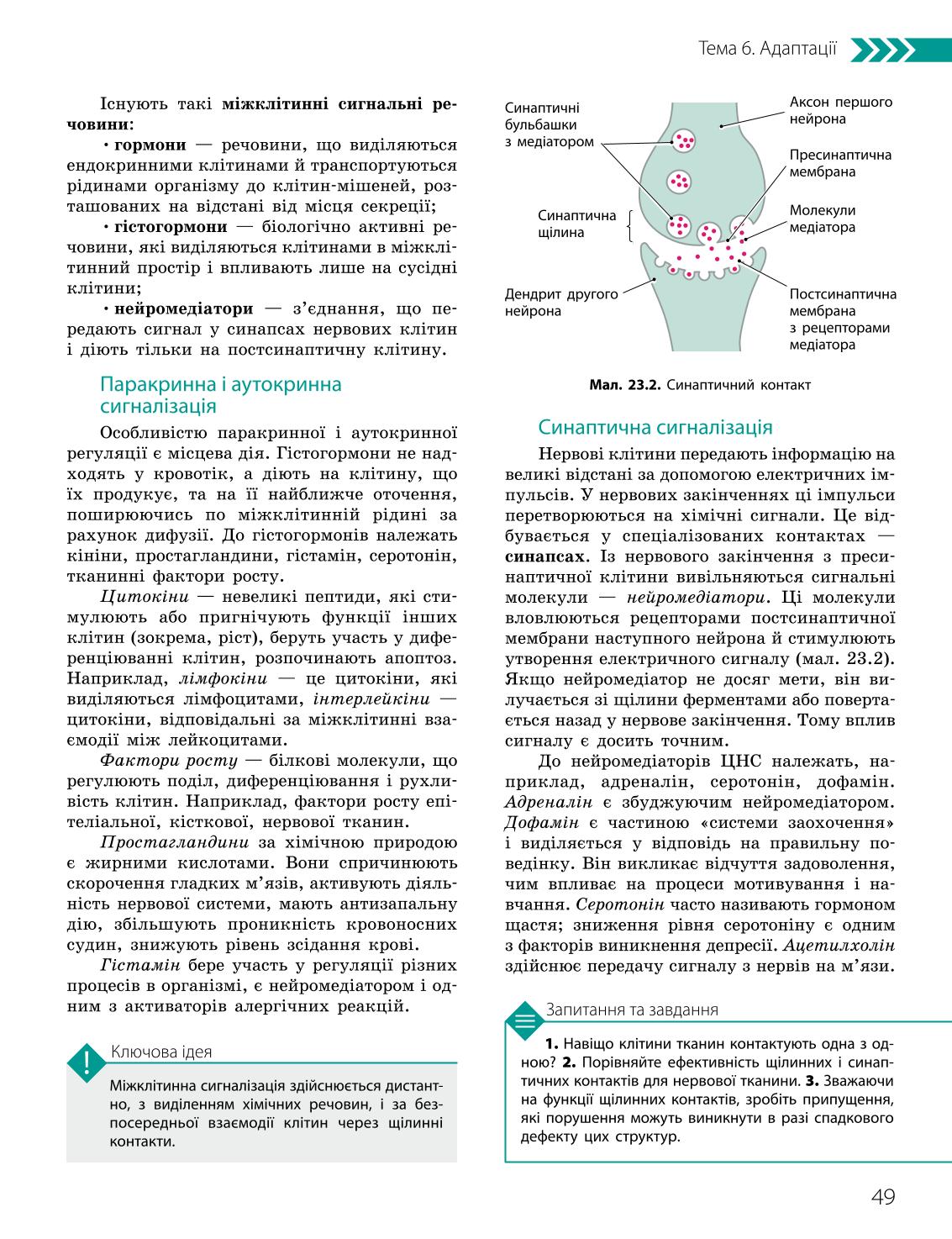 Мініатюра 49