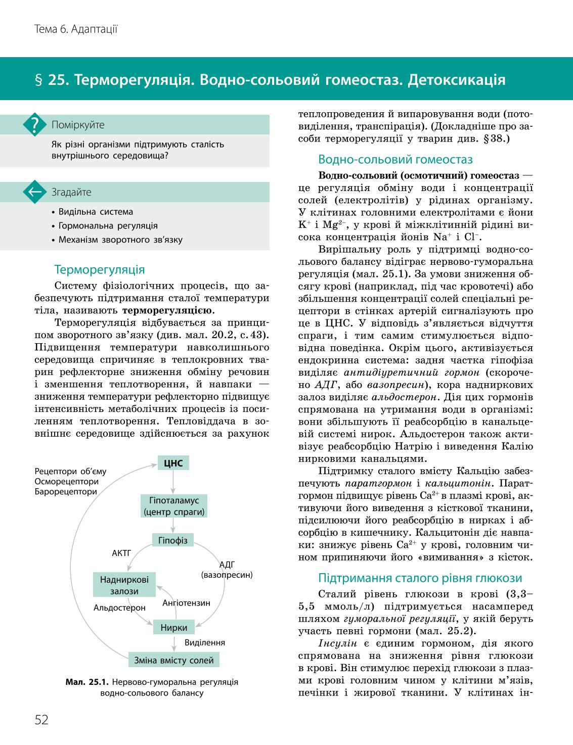 Мініатюра 52