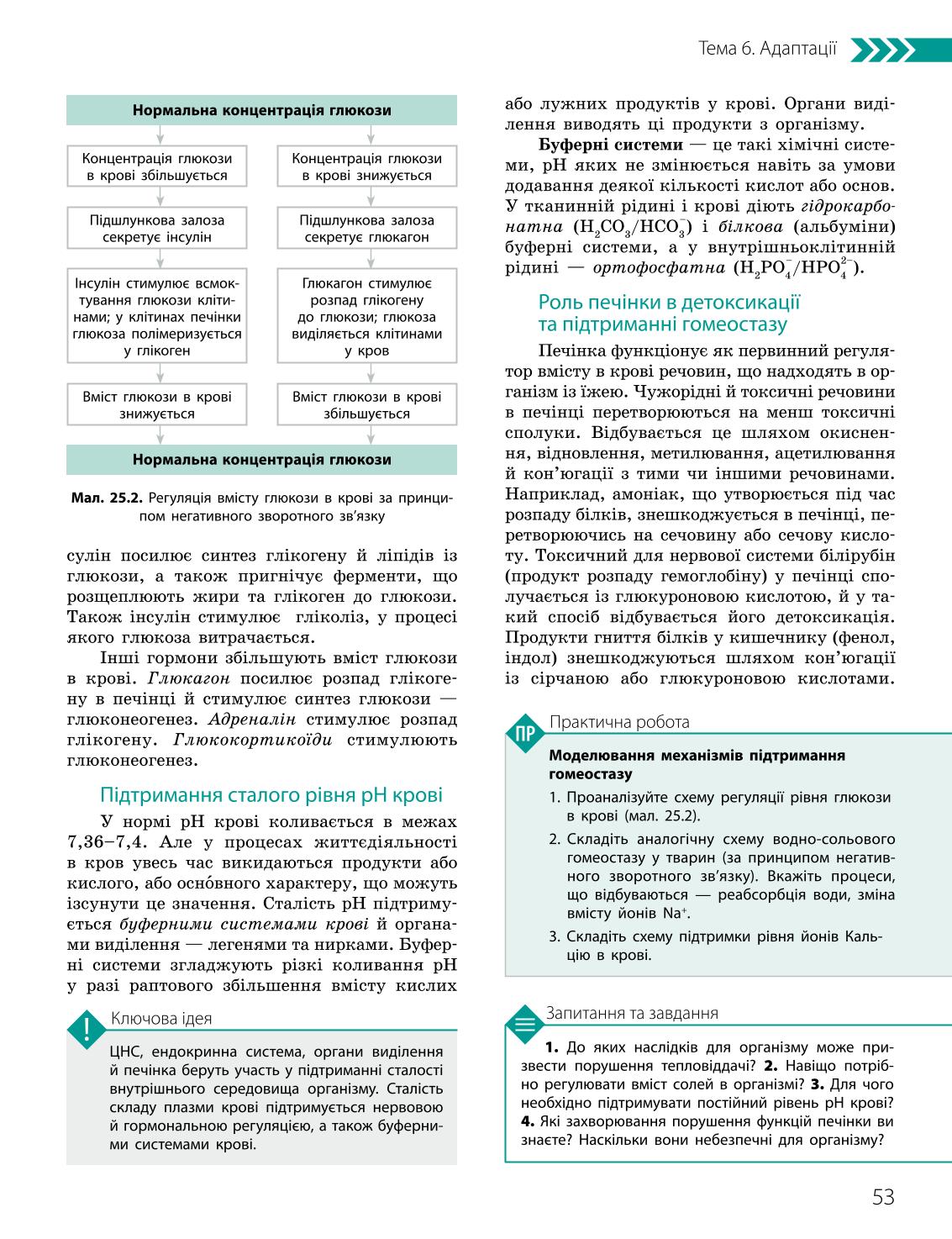 Мініатюра 53
