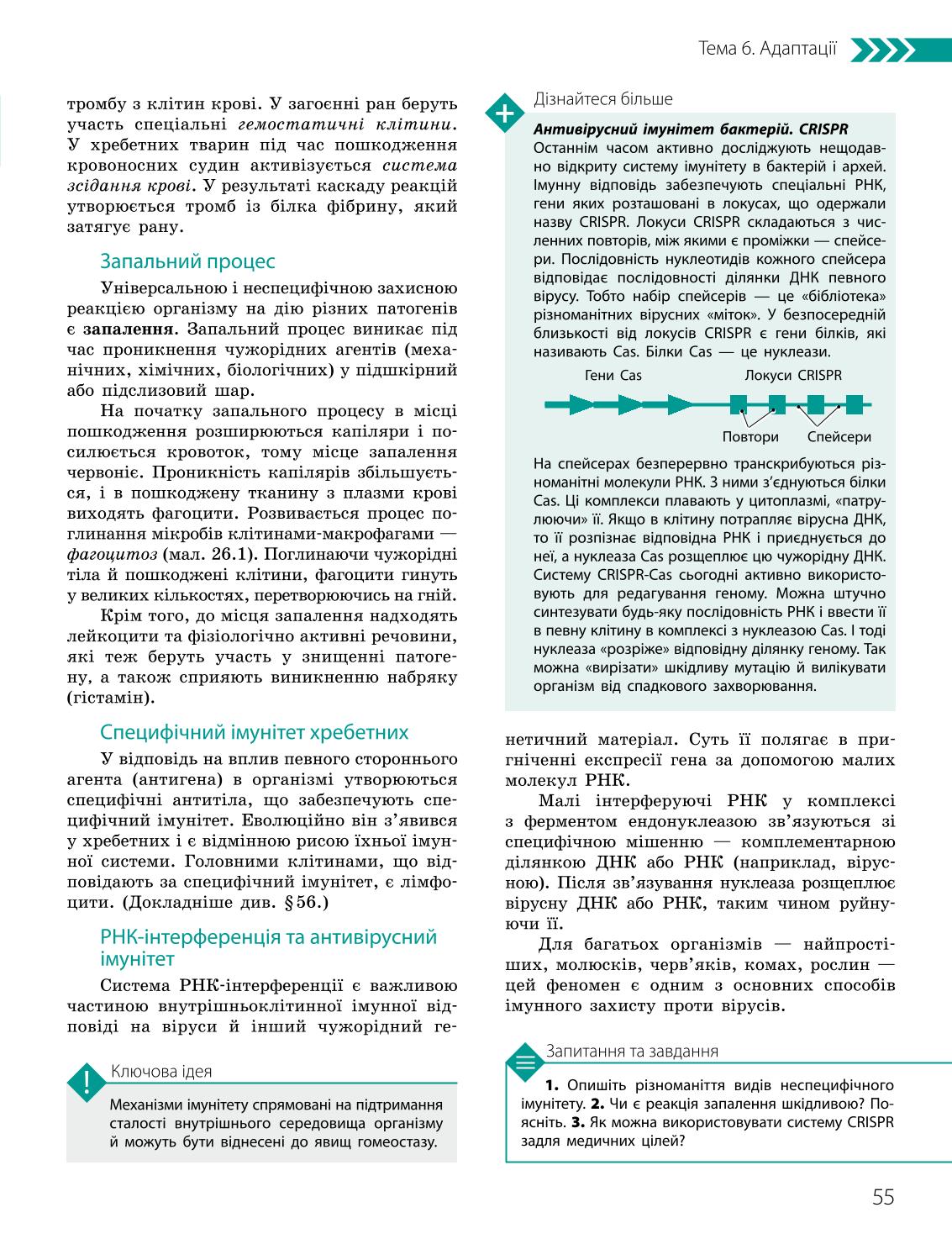 Мініатюра 55