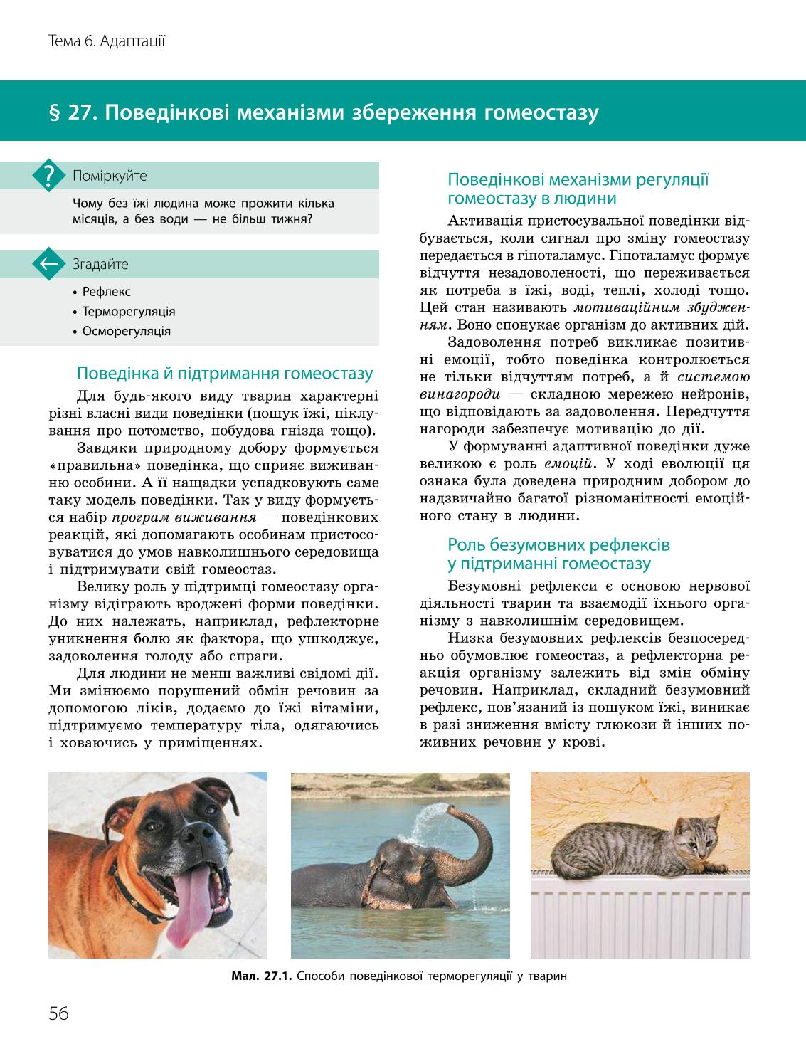 Мініатюра 56